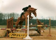 club hippique de la bergerie